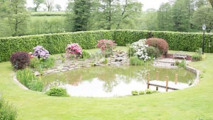 pond built by Martin Lamb Garden Design