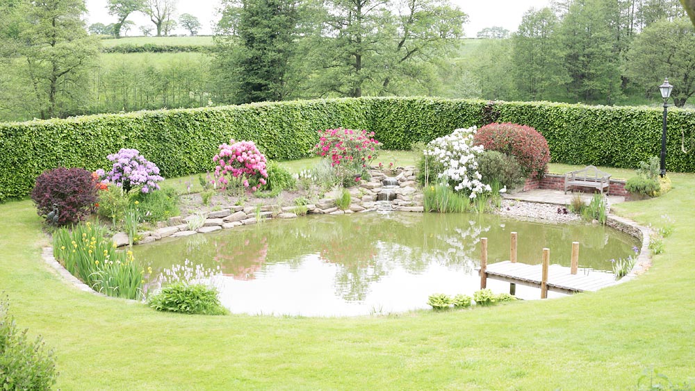 pond built by Martin Lamb Garden Design