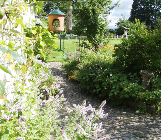 cobbled pathway