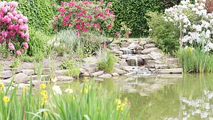 waterfall and stream leading into pond