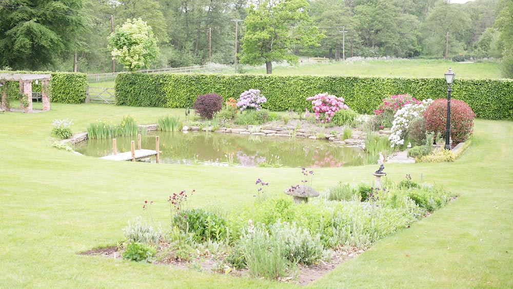 full view of pond